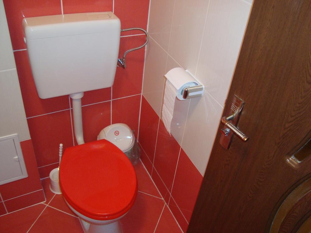 Apartament Miruna Sibiu Filarmonicii Pokoj fotografie